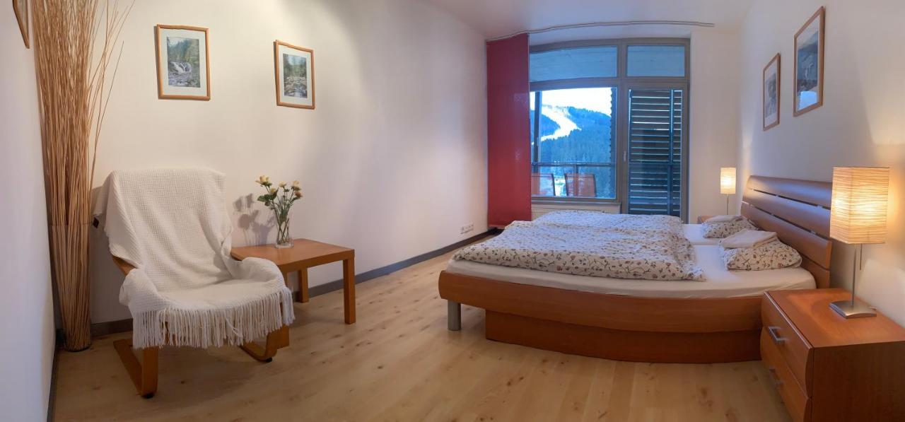Apartmany Certovka Harrachov Exterior photo
